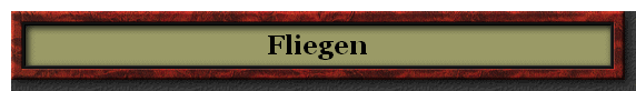 Fliegen